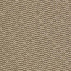 Robert Allen Success Chino 081828 Shade Store Collection Indoor Upholstery Fabric