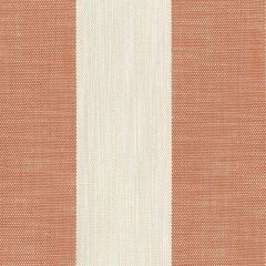 Perennials Vintage Stripe Mandarin 865-167 Camp Wannagetaway Collection Upholstery Fabric