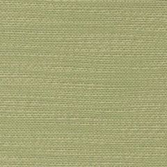 Perennials Ishi Lime Punch 950-14 Galbraith and Paul Collection Upholstery Fabric