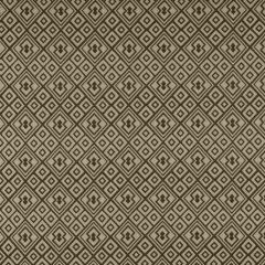 Gaston Y Daniela Bergamo Onyx GDT5325-1 Tierras Collection Indoor Upholstery Fabric