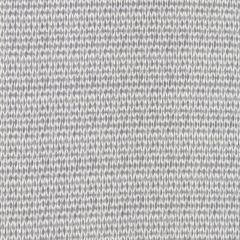 Robert Allen Mamma Mia-Lilac 236852 Decor Multi-Purpose Fabric