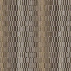 Sunbrella by CF Stinson Contract Pacifica Driftwood 63013 Upholstery Fabric