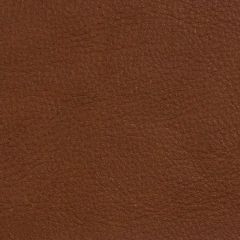 Kravet L-Range Coffee Indoor Upholstery Fabric