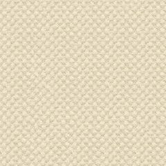 Kravet Sunbrella Beige 25807-1116 Guaranteed in Stock Upholstery Fabric