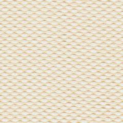 Kravet Design White 31400-101 Guaranteed in Stock Indoor Upholstery Fabric
