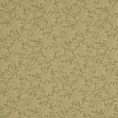 Robert Allen Roswitha Pistachio 173916 Indoor Upholstery Fabric