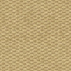 Kravet Pile on Dune 31514-16 Indoor Upholstery Fabric