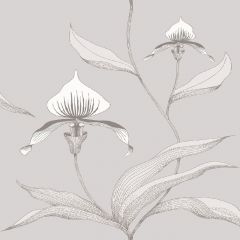 Cole and Son Orchid Grey / White 95-10055 Contemporary Restyled Collection Wall Covering