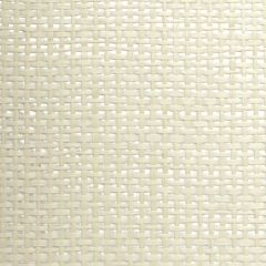 Winfield Thybony Paperweave WT WBG5110 Wall Covering