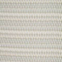Robert Allen Posh Ikat Pewter 240314 Crypton Home Collection Multipurpose Fabric