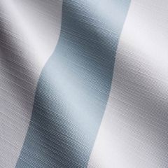 Perennials Go To Stripe Ice Blue 570-798 Villa del Sol Collection Upholstery Fabric
