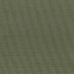 Stout Gorgeous Slate 44 Softer Side Faux Silk Collection Drapery Fabric