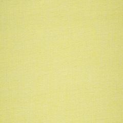Robert Allen Dream Chenille Lemon 241146 Fine Chenilles Collection Indoor Upholstery Fabric