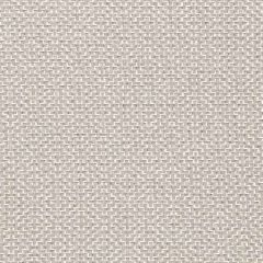 F. Schumacher Soho Weave-Dove 65624 Interior Decor Fabric