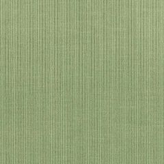 F Schumacher Antique Strie Velvet Aloe 69750 Perfect Basics: Antique Strie Velvet Collection Indoor Upholstery Fabric