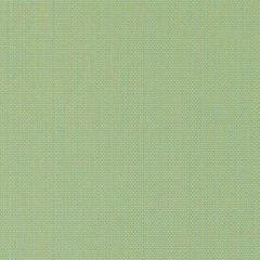 Duralee Kiwi 15683-554 Decor Fabric