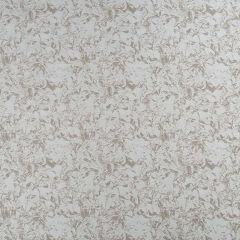 Clarke and Clarke Magma Taupe F1103-06 Olympus Collection Drapery Fabric