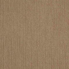 Robert Allen Point Ahead Sand Dollar 190987 Indoor Upholstery Fabric