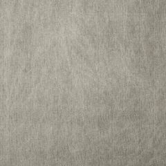 Threads Arapa Taupe ED85249-210 Odyssey Collection Indoor Upholstery Fabric