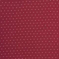 Robert Allen Diamas Dot-Zinnia 185883 Decor Multi-Purpose Fabric