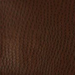 Kravet Ossy Brown 6 Indoor Upholstery Fabric