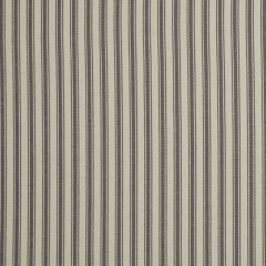 Robert Allen Padula Greystone 210502 Indoor Upholstery Fabric