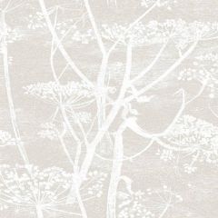 Cole and Son Cow Parsley Linen / White 95-9051 Contemporary Restyled Collection Wall Covering