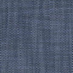 Perennials Rough 'N Rowdy R-Royal Blue 955-437 Beyond the Bend Collection Upholstery Fabric