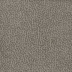 Kravet Matter Grey 1121 Indoor Upholstery Fabric