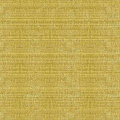 Kravet Smart Gold 34191-303 Opulent Chenille Collection Indoor Upholstery Fabric