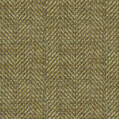 Kravet Contract Green 32018-315 Indoor Upholstery Fabric