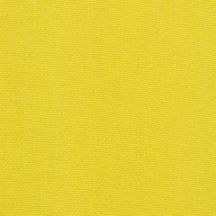 Robert Allen Pure Solid Bk Lemongrass 235226 Indoor Upholstery Fabric