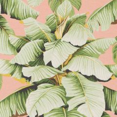 Duralee Pink and Green SE42627-700 Nostalgia Prints and Wovens Collection Indoor Upholstery Fabric