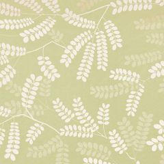 F Schumacher Locust Leaves Fern 62440 by Nature Collection Indoor Upholstery Fabric