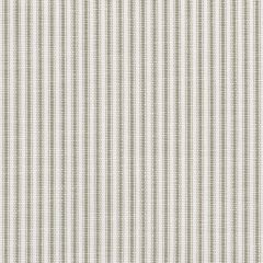 Perennials Tick Tock Stripe Dove 807-102 The Usual Suspects Collection Upholstery Fabric