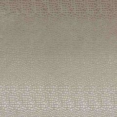 Clarke and Clarke Pulse Ash F0469-02 Tempo Collection Upholstery Fabric