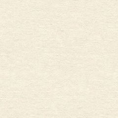 Lee Jofa Mesa Snow 2014140-101 by James Huniford Indoor Upholstery Fabric