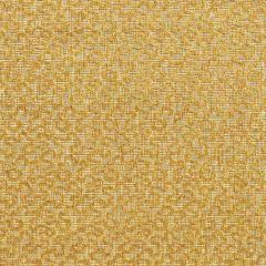 F. Schumacher Vermicelli Velvet Naples 43276 Chroma Collection Upholstery Fabric