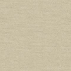 Kravet Vetro Sand 34128-1116 Jan Showers Glamorous Collection Indoor Upholstery Fabric