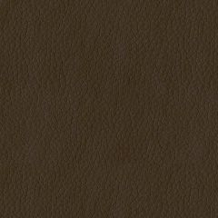 ABBEYSHEA Turner 802 Tan Indoor Upholstery Fabric