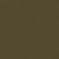 Spirit 523 Bronze Contract Marine Automotive and Healthcare Upholstery Fabric