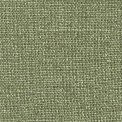 Gaston Y Daniela Nicaragua Verde Oscuro GDT5239-12 Basics Collection Indoor Upholstery Fabric
