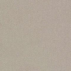 Robert Allen Success Putty 086212 Shade Store Collection Indoor Upholstery Fabric