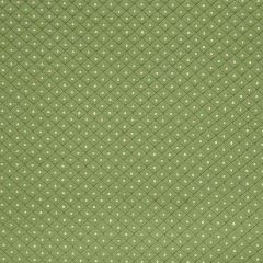 Robert Allen Fullerton-Meadow 013061 Decor Upholstery Fabric