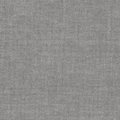 Perennials Soft Touch Nickel 943-296 Natural Selection Collection Upholstery Fabric