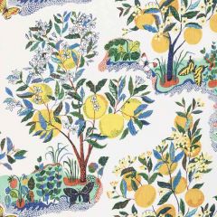 F Schumacher Citrus Garden Sheer Primary 178350 Patterned Sheers and Casements Collection Indoor Upholstery Fabric