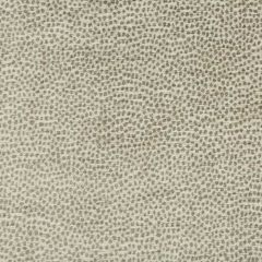 Kravet Design 34971-11 Crypton Home Indoor Upholstery Fabric