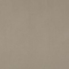 Baker Lifestyle Maddox Taupe PF50415-210 Notebooks Collection Indoor Upholstery Fabric