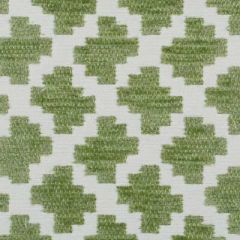 Duralee Grass 15575-597 Decor Fabric