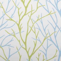 Duralee Aqua/Green 21043-601 Decor Fabric